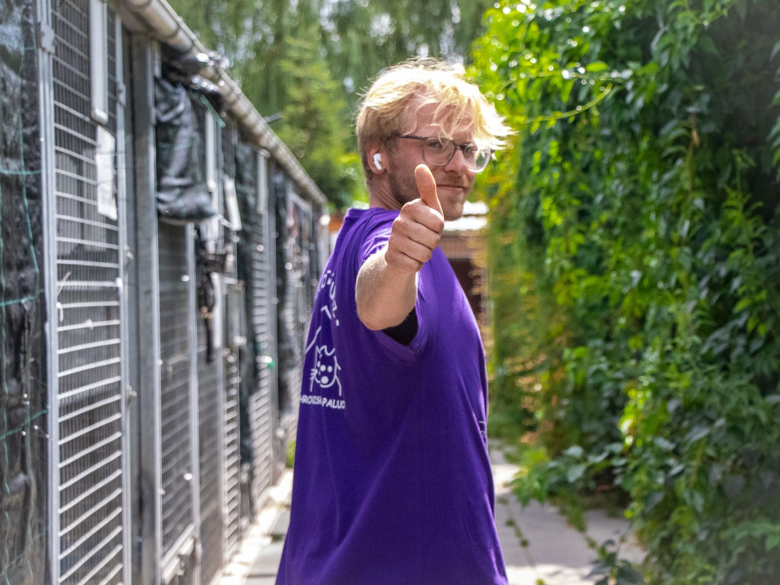 Galeria Wilcze Echa — zdjęcie 1