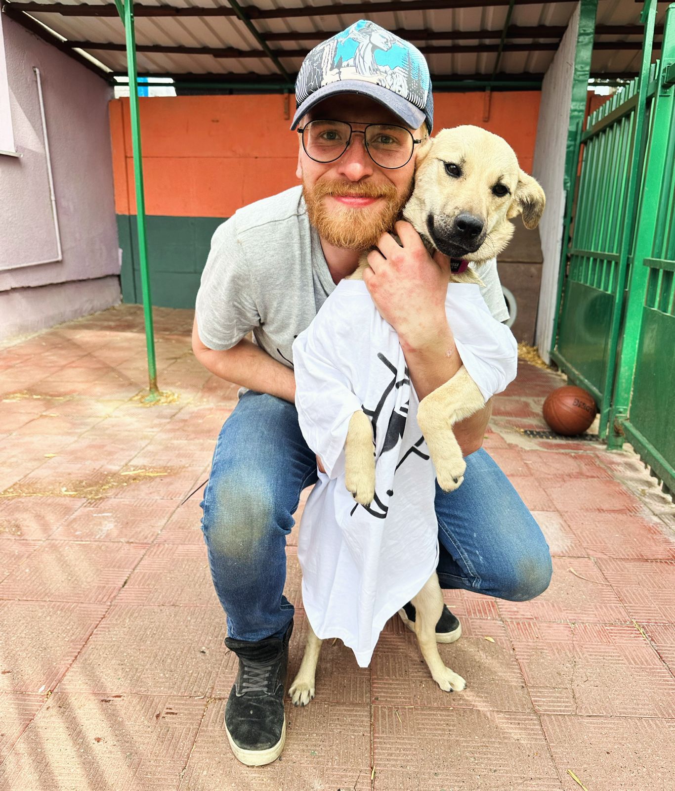 Galeria Wilcze Echa — zdjęcie 4