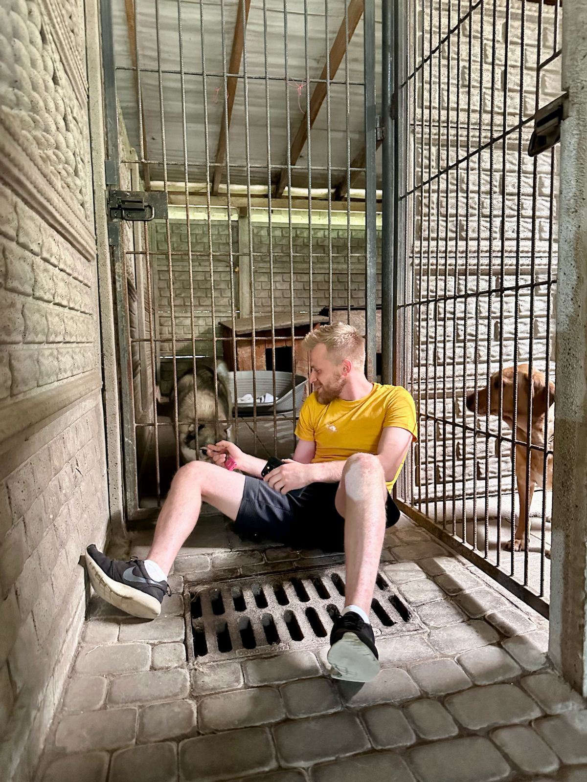 Galeria Wilcze Echa — zdjęcie 6