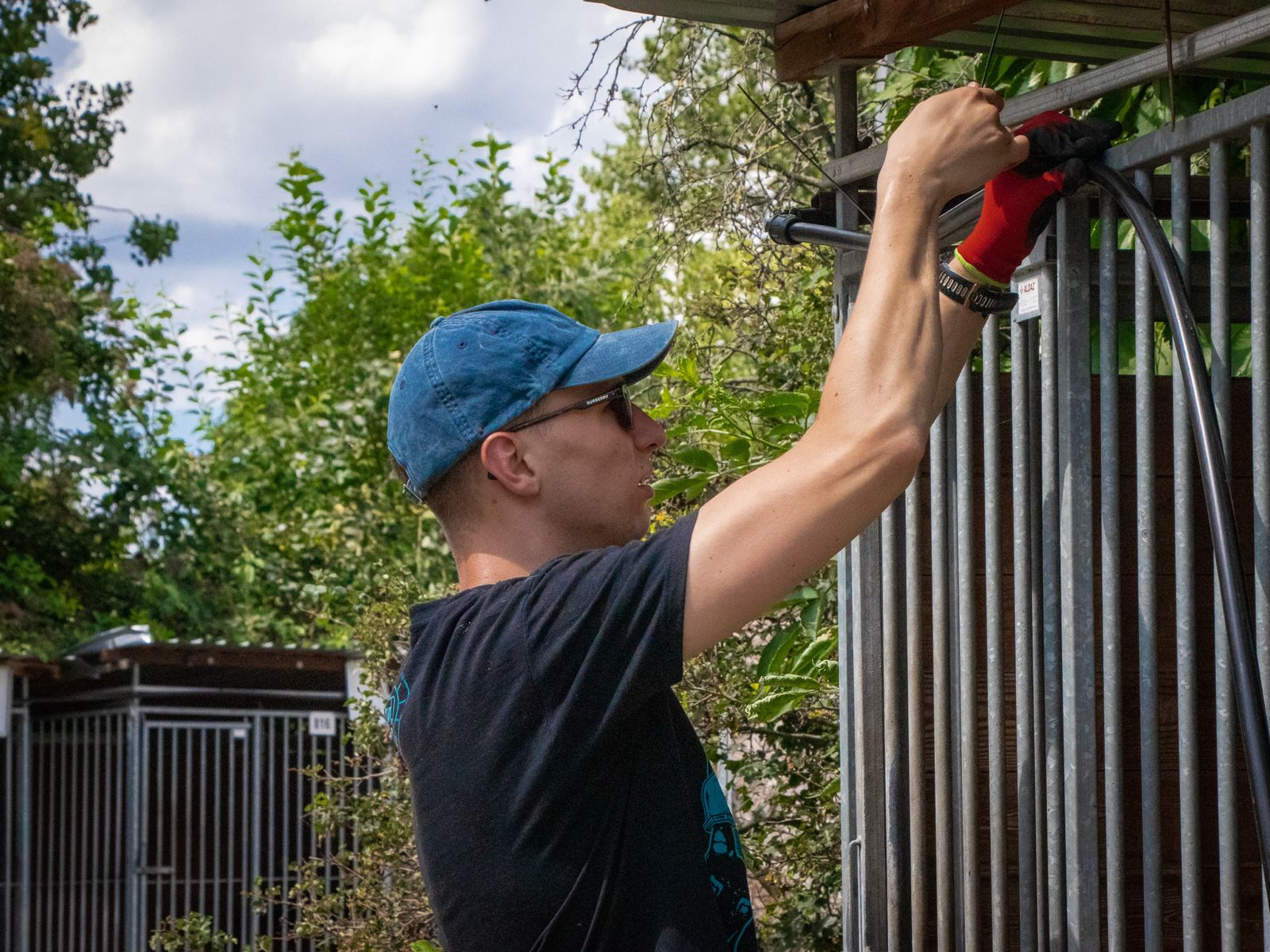 Galeria Wilcze Echa — zdjęcie 7