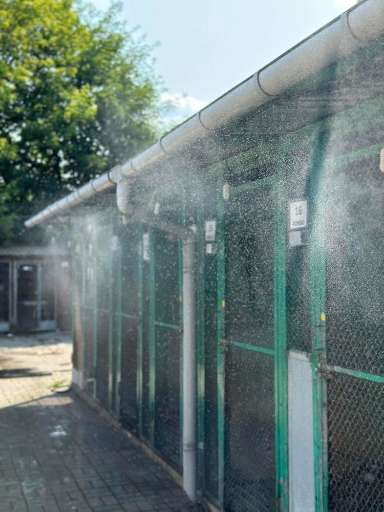 System kurtyn wodnych w schronisku